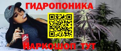 прущие крисы Шелехов