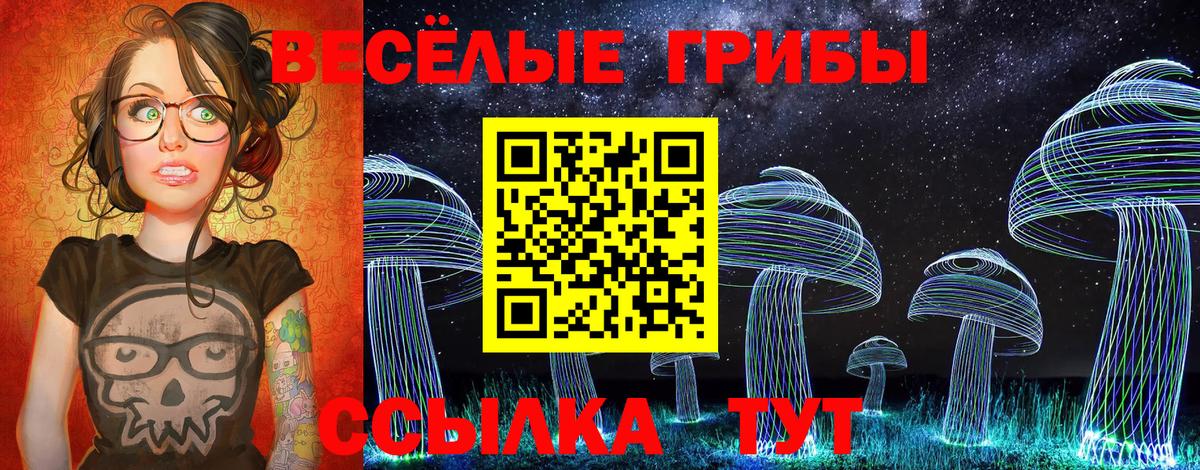 Вязьма  Псилоцибиновые грибы Psilocybine cubensis  Вход с VPN 