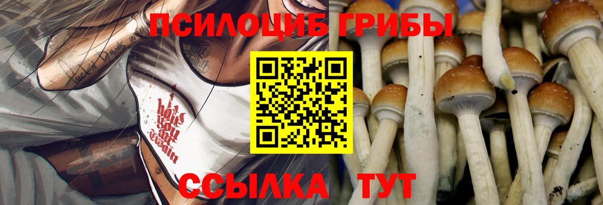 Галлюциногенные грибы Cubensis Вязьма